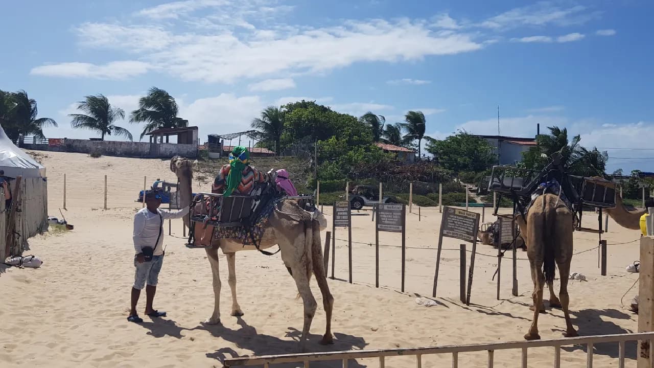 NATAL - 7 Dias — foto 25